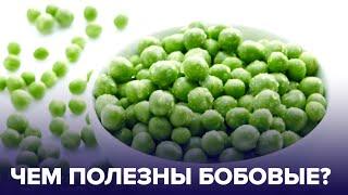 БОБОВЫЕ продукты: польза и вред