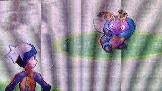 LIVE Shiny Volbeat After 4874 Re's !!! (Pokèmon Sapphire)