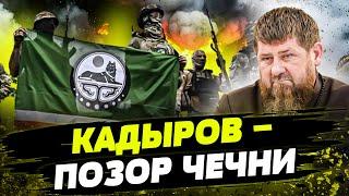 ЧЕЧЕНЦЫ НЕНАВИДЯТ КАДЫРОВЦЕВ! Истинные ПАТРИОТЫ ЧЕЧНИ ВОЮЮТ ЗА УКРАИНУ!