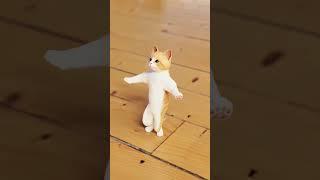 #shorts my cat little nice dance viral video akash kumar m Volog