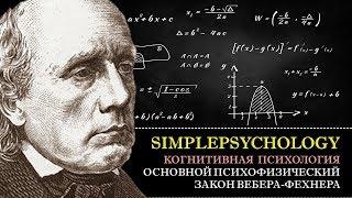 Когнитивная психология ощущений #21.  Основной психофизический закон Фехнера-Вебера [Психофизика]