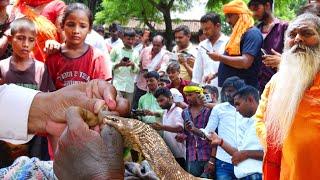 इस गांव में उपलि निकालने गई महिला को 3 बार जहरीले नाग ने काट लिया और 30 मिनट में हो गई मौत, फिर क्या