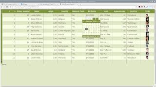 Interactive Data Grid for Football Players with MindFusion JavaScript Pack