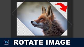 Quick and Easy Image Rotation in Photoshop