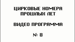 "Цирк детства моего" 8/18.