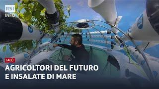 Agricoltori del futuro e insalate di mare | Falò | RSI Info