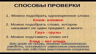 Грязезащитные системы и покрытия для идеальной чистоты в доме