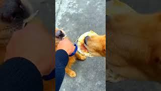 JUST LAUGH 143