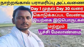 நெல் நாற்றங்கால் பராமரிப்பு அட்டவணை|Day by Day| கொடுக்கப்பட வேண்டிய இயற்கை இடுபொருட்கள்|நெல்