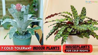 7 Cold Tolerant Indoor Plants | Houseplants for Cold Rooms #houseplants