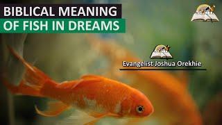 Biblical Meaning of FISH in Dream - Mark 1:17 Prophetic Meaning of Fish