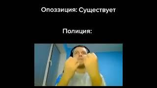 папич и полиция