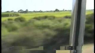 kalijhil pakistan picnic part 09 (2004) (anwar0088) (88)