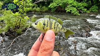 Tiny Swimbait in Flooded Creek