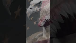 How Bald Eagles Really Are