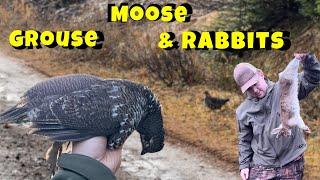 Hunting Moose, Grouse & Rabbits in Newfoundlands Country ! ( A Morning Filled With Wildlife )