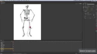 Adobe Animate CC - Bone Tool Animation