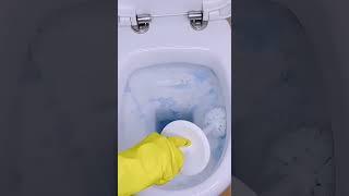 СМЕШАЙ ЭТО  УНИТАЗ ЗАСВЕРКАЕТ ЧИСТОТОЙ! Лови #совет