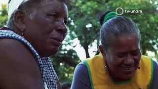 México racista. Discriminación y desigualdad social