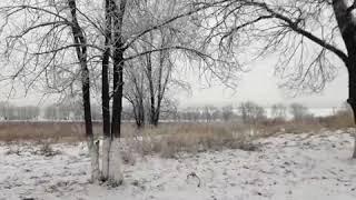П Жамбыл, Карасайский район по 50 соток участки