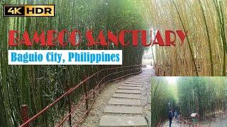 BAMBOO SANCTUARY - BAGUIO CITY PHILIPPINES