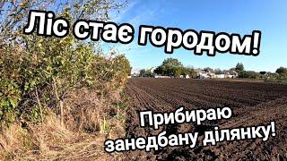 Купив хату в селі! Ліс починає перетворюватися на город! Огляд та відновлення занедбаної ділянки!