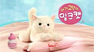 [펫토이] 리얼펫 아기고양이 밀크캣 TVCF (Baby Cat Digital Toy Milk Cat)