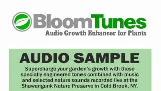 BloomTunes Audio Plant Growth Enhancer for Plants- Grow Plants with Music!