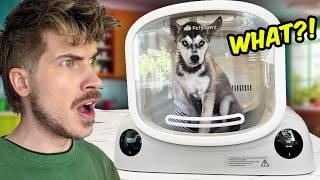 Putting My Puppies In A Futuristic Dryer Box!