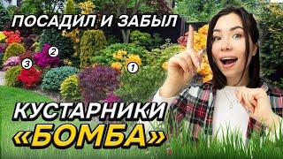 10 кустарников которым ВООБЩЕ НЕ нужен уход