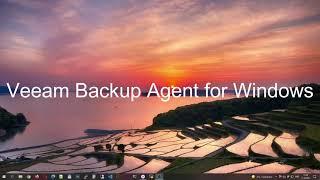 Обзор бесплатной программы Veeam Backup Agent for Windows Free