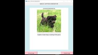 IMAGE CAPTION GENERATOR WITH GUI | Natural Language Processing | Andrej Karpathy | LSTM