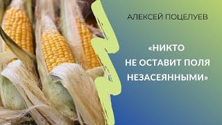 «Никто не оставит поля незасеянными» | Дилер семян — о селекции пропашных и ситуации на рынке