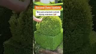 part 4 of 8. FULL VIDEO in bio. Ralph and Anna in Second Date Update