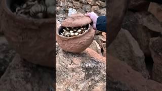 Extracting treasure under rocks #treasurehunt #treasurefinders #adventure #archeology