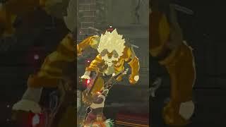 How To Kill ANY LYNEL Without Taking Damage (Zelda Breath of the Wild)