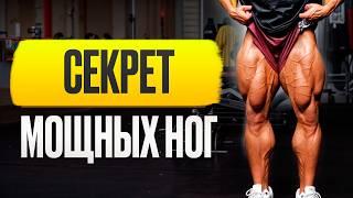 АДСКАЯ ТРЕНИРОВКА НОГ в БРАЗИЛИИ с Виталием Угольниковым в зале IRON BERG