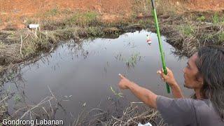 Rumput bergoyang!! Tandanya ada ikan