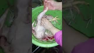 فن تنظيف الدجاج وازاله الريش بحترافيه وبراعه وطريقه حفظ الفراخ الصحيحه /How to clean your chicken