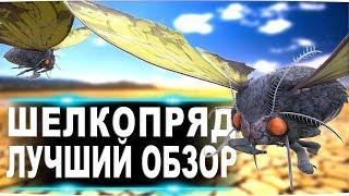 Шелкопряд (Lymantria) в АРК. Лучший обзор приручение и способности  в ark.