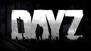 Dayz standalone Где найти крушения вертолетов и где найти СВД