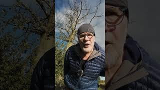 Looking For a Friend #dadjoke #joke #jokesvideo #comedygold #camping #hiking #wildcamping #nature