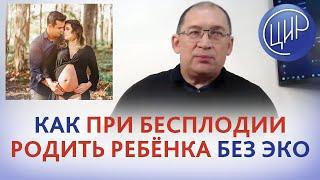 Без ЭКО. Как при бесплодии зачать, выносить и родить ребёнка без ЭКО. Ответы на вопросы. Гузов И.И.