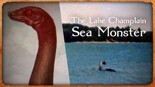 Lake Champlain Monster, Champ | Tales of Earth