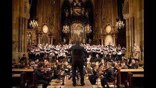 Vienna Philharmonic Christmas Concert at St. Stephen's Cathedral (Stephansdom)