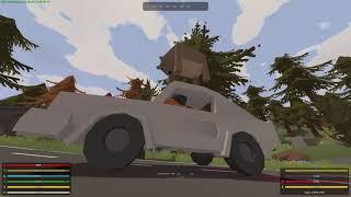 guys i think something is wrong with my pet | Unturned bugs/glitches