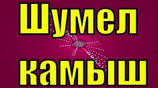 Шумел камыш