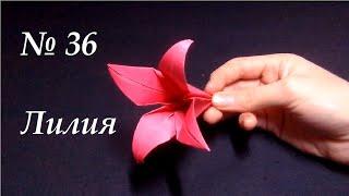 Оригами Лилия. Как сделать бумажный цветок? Origami Lily.