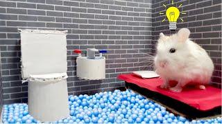 Hamster Escapes Prison Obstacle Course