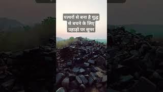 How to Forest king Mahal taj #vlog #vloggerbharat #blog
